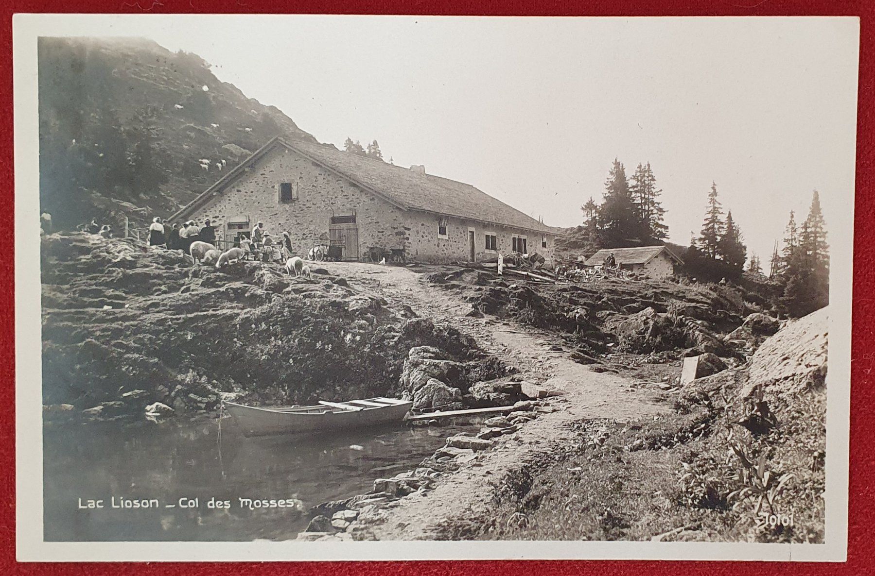 Cartoline postali: Lac Lioson - Col des mosses – Usato da Kreuzlingen venduto da Rschweiz1