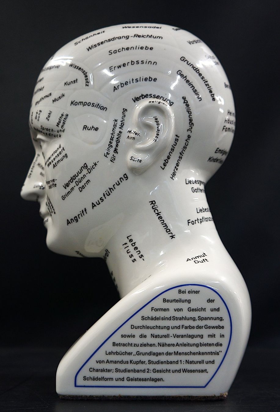 Sculture & Statue: Original Huter Studienkopf Psycho-Physiognomik – Usato da Basel venduto da bk_brockibasel 1