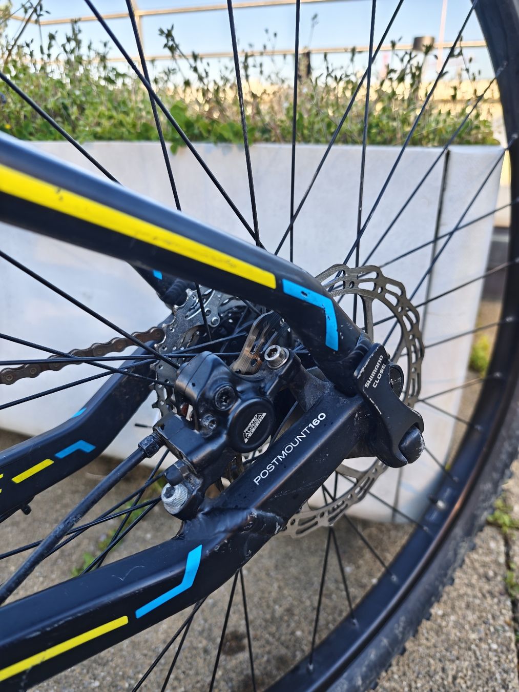 Bergamont Biciclette: Bergamont Contrail LTD MTB Limited Edition 29'' - Size M – Usato da Zurich venduto da JesusSA 6