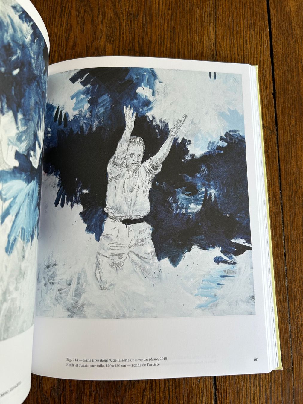 Libri: Niklaus Manuel Güdel: Derrière la couleur – Usato da Basel venduto da Peter_schlemihl 7