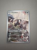 Houndour 204/197 NM