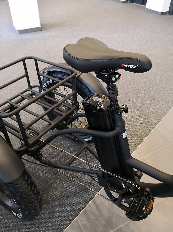 Veicoli elettrici: Elektro Dreirad EFATI – Usato da Lyssach venduto da Hoferbike 2