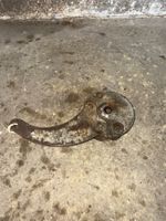 Sachs HR90V Rücktritt Mofa Bremsankerplatte