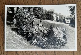 Foto Küssnacht, in Memoriam Königin Astrid, 29.08.1935