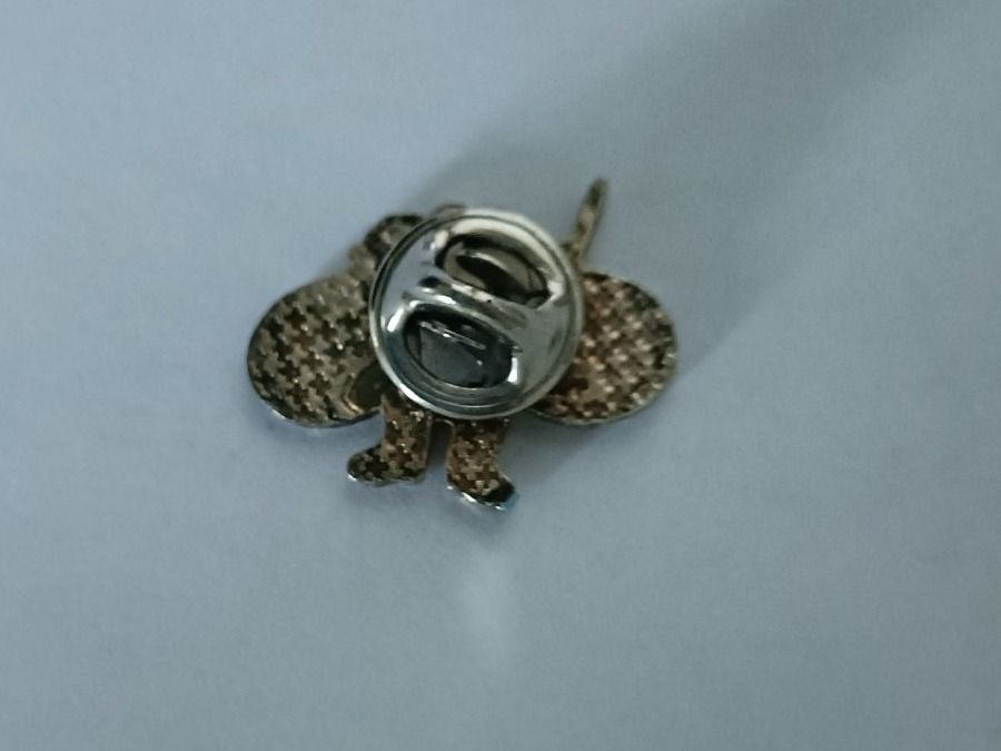 Placchette & Badge: Pin Maienkäfer Zoro - Box 5 – Usato da Köniz venduto da Pinscollect 1