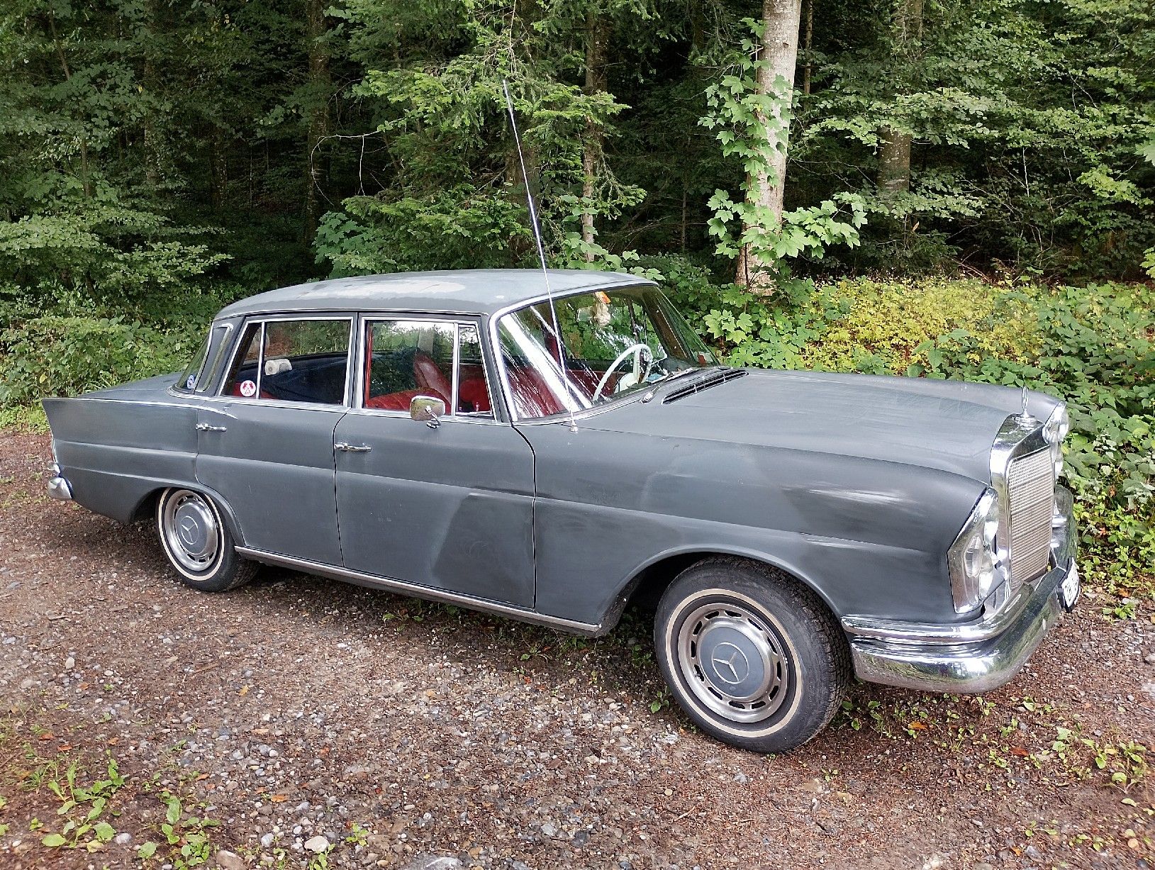 Mercedes-Benz Automobili: Mercedes Benz 220 Sb 'Heckflosse' – Usato da Zürich venduto da hec_j689