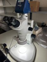 Profesionelles Stereomikroskop Nikon mit Ringbeleuchtung