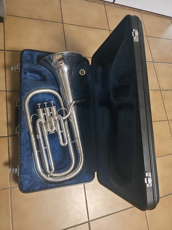Strumenti musicali: Vendo althorn yamaha yah 202S – Usato da Faido venduto da SX32