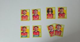 Sticker Panini WM 2026 ESP 8 Stk