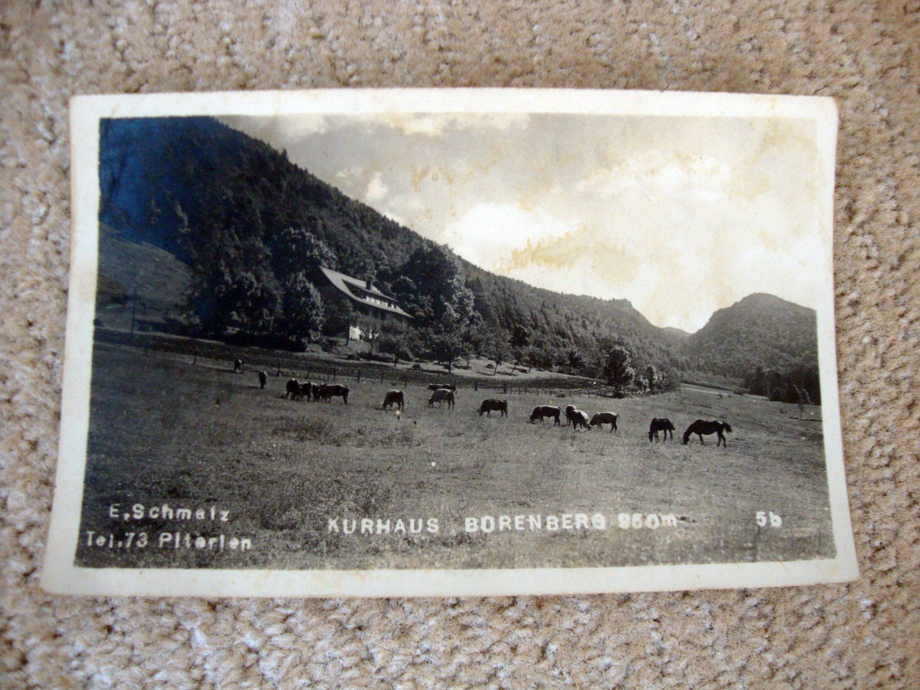 Cartoline postali: Bürenberg Kurhaus BE Postkarte Ansichtskarte – Usato da Döttingen venduto da Kubuli1