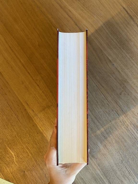 Libri: Galgenmädchen - van Rijeckghem, van Beirs – Usato da Adliswil venduto da 8lizzy8 1