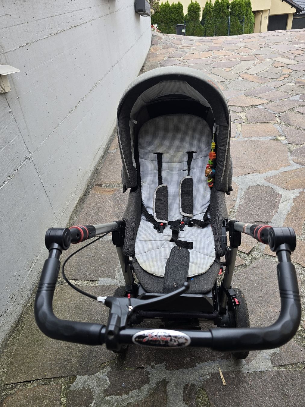 Hartan Carrozzine: Hartan Kinderwagen – Usato da Siebnen venduto da LuuSchuu 2
