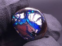 Boulder Opal 13.23ct Australien Blau-Grün Feuer