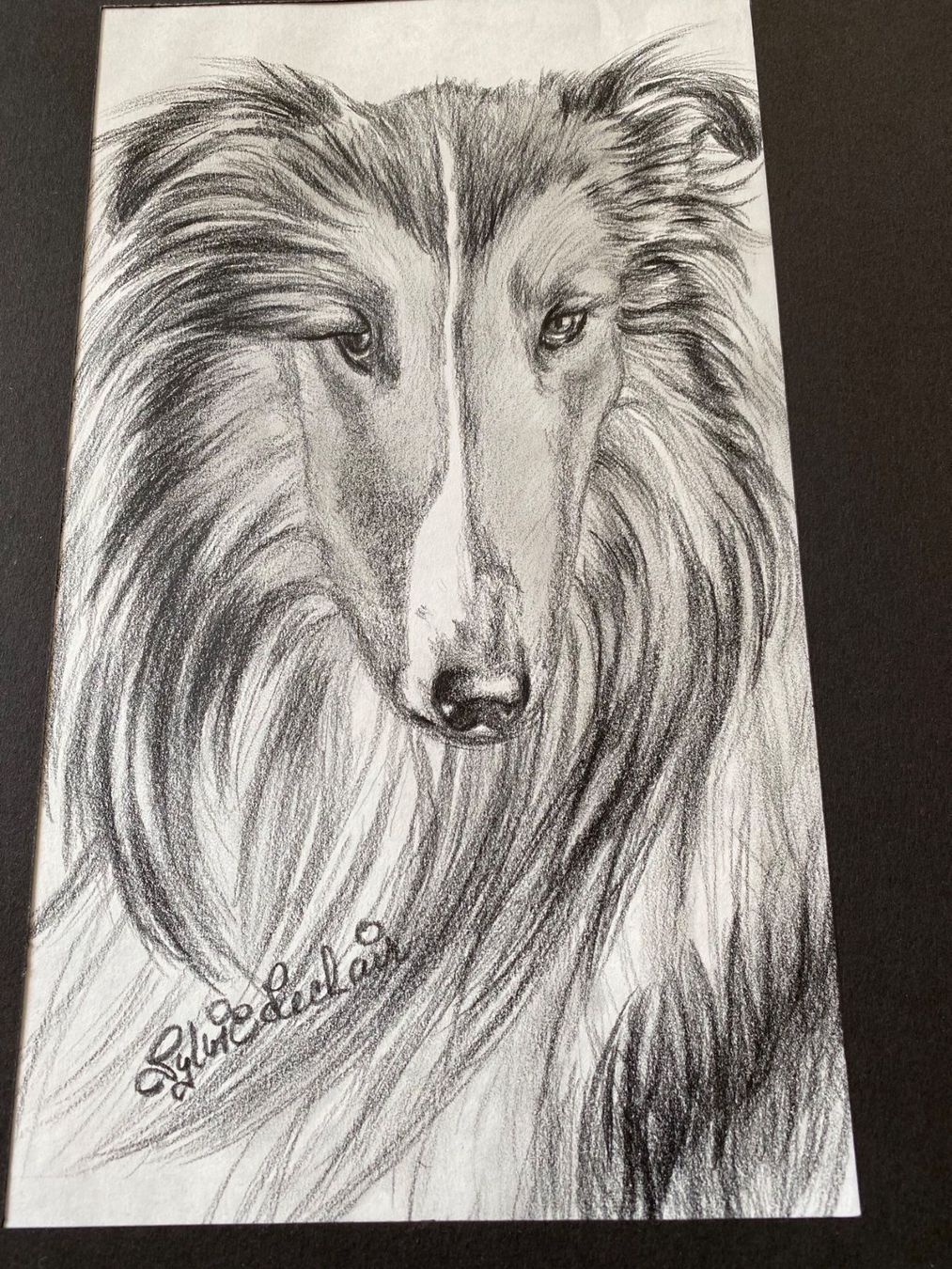 Gemälde: Zeichnung Hund Portrait – Gebraucht aus Bern von schnupka 2