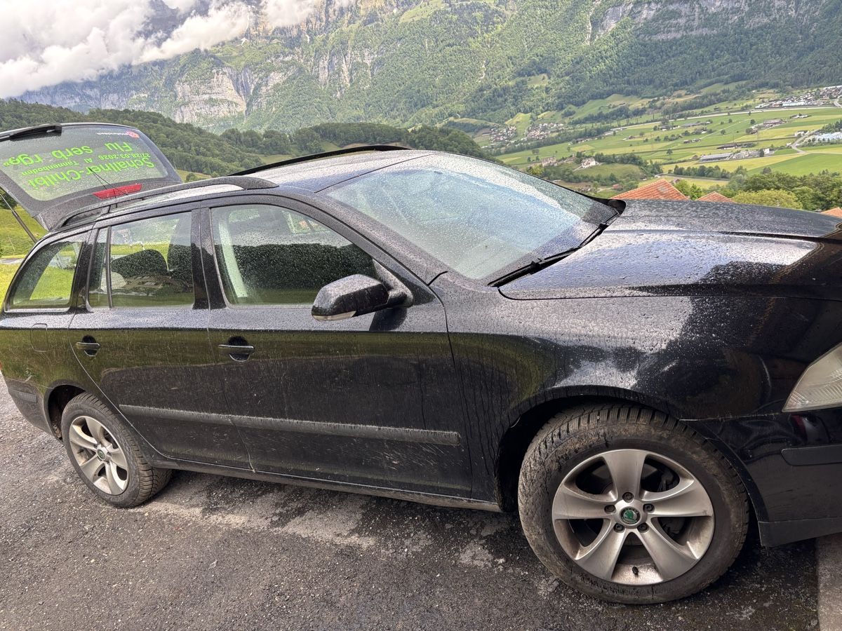 Skoda Automobili: Skoda Octavia Combi 4x4 – Usato da Flums venduto da Dominic043 1