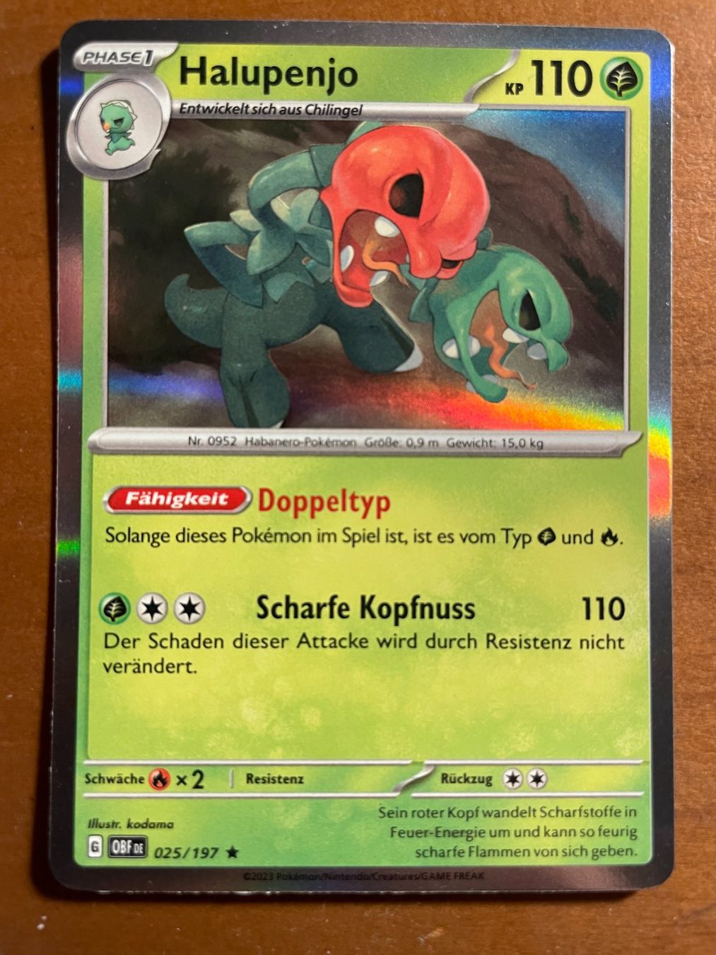 Pokémon Carte collezionabili: Pokemon Halupenjo Holo (Versand gratis) – Nuovo (secondo la descrizione) da Chur venduto da Angerson