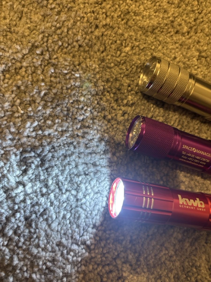 Lampade: 3er Set Mini LED Taschenlampen – Usato da Sempach venduto da yg9_9ctk 3