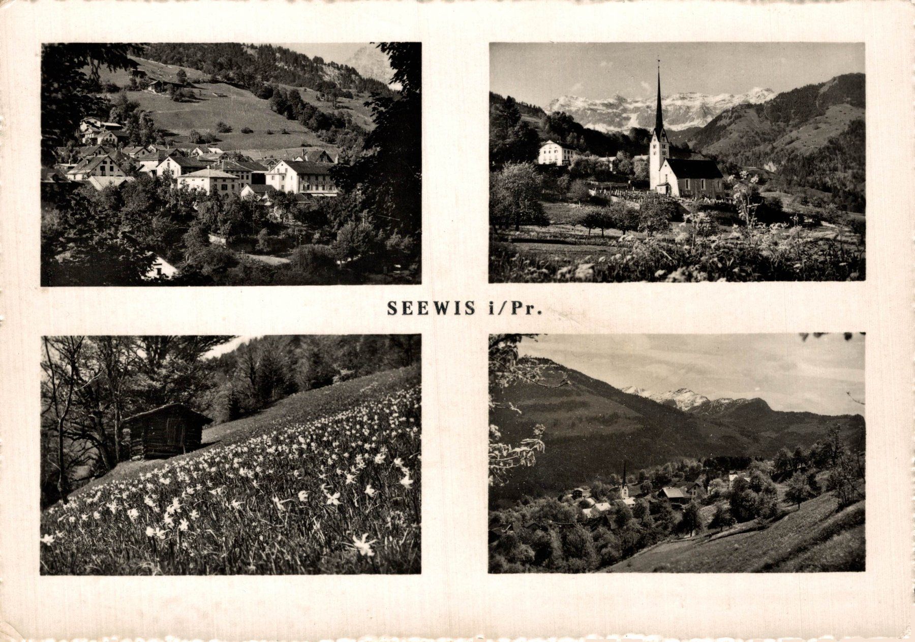Cartoline postali: Seewis im Prättigau – Usato da Bronschhofen venduto da Astore