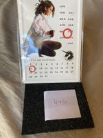 EINHORN Kalender, Pin-up, Farbdruck geprägt auf Blech, OVP