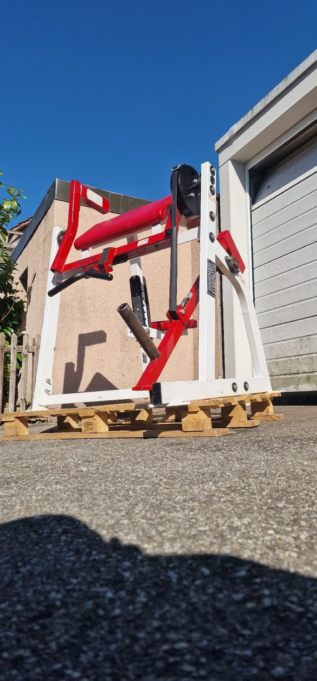 Hometrainer: Hammer Strength Bizepsmaschine – Usato da Aarau venduto da shq_869r 2