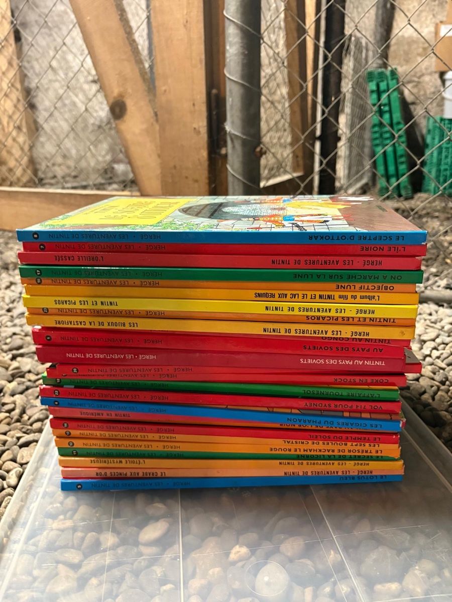 Comics: Bande Dessinée Tintin l’intégrale – Gebraucht aus Vaulruz von emi_zgp8 1