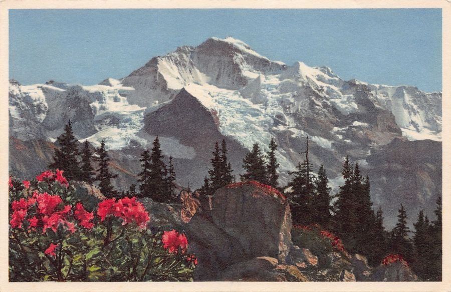 Cartoline postali: ALPIN: Die Jungfrau mit Rosen – Usato da Frauenfeld venduto da POML