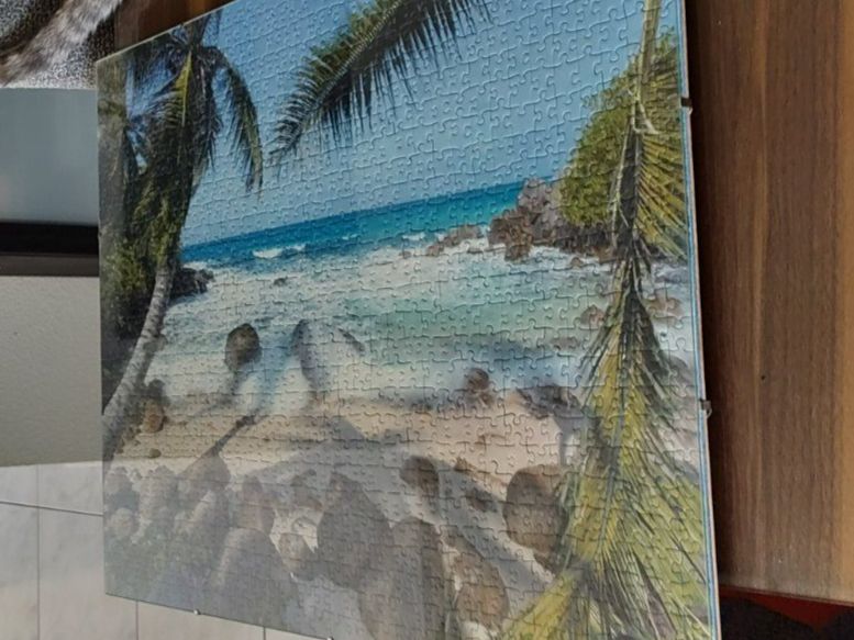 Ravensburger Puzzles: Puzzle Bild gerahmt 50 x 71 cm – Gebraucht aus Dottikon von Oldyfreak