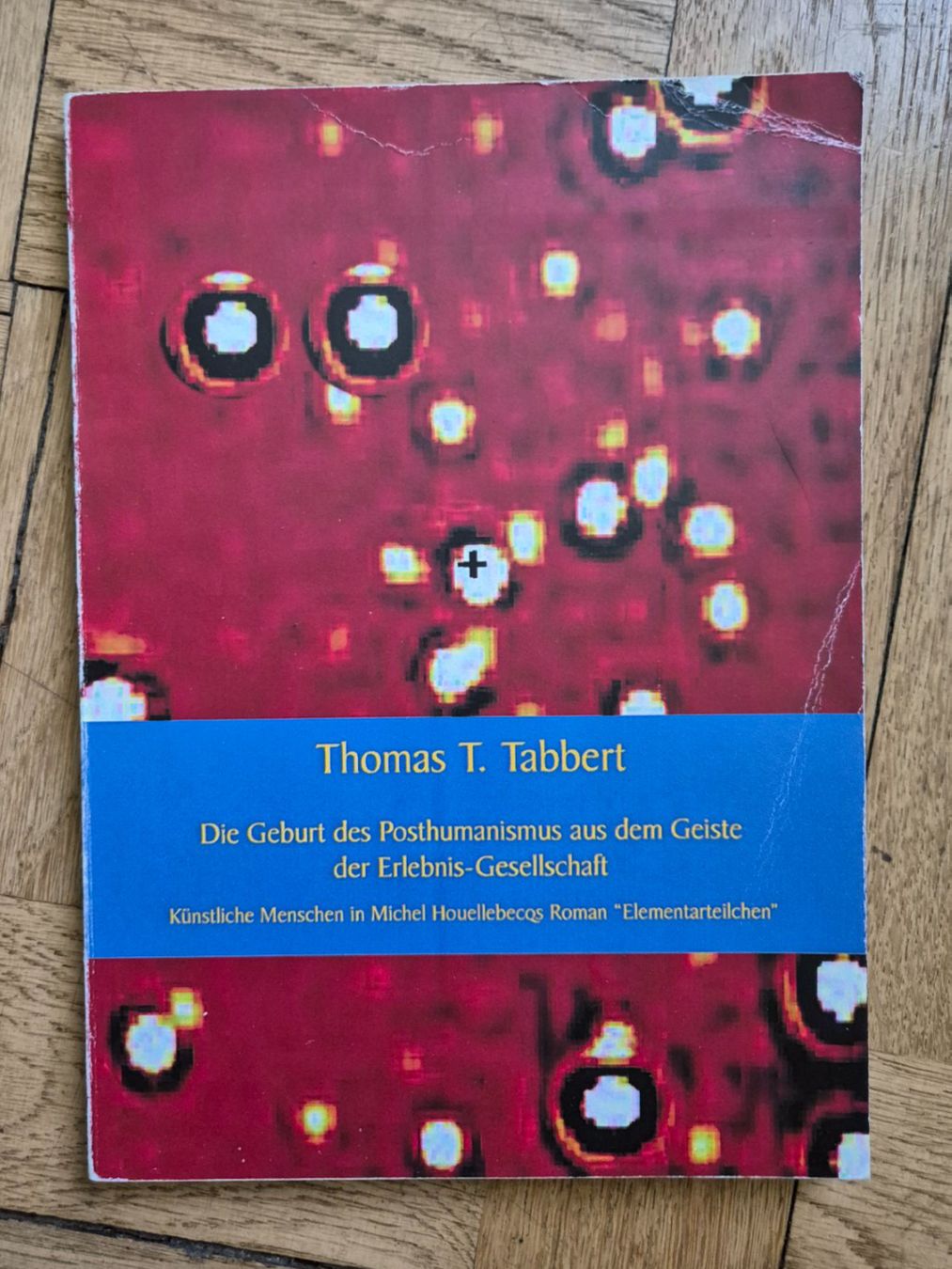 Libri: Thomas Tabbert - Die Geburt der Erlebnis-Gesellschaft 57 – Usato da Zürich venduto da haitimarasa