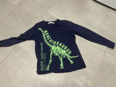 Pull dinosaure dino 122 - 128