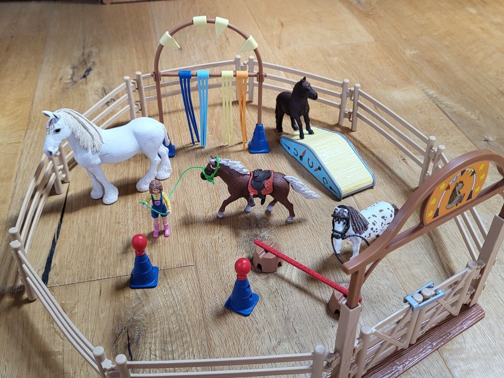  Schleich Pferde mit Zubehör (Gebraucht) in Boppelsen für CHF 10 – mit 