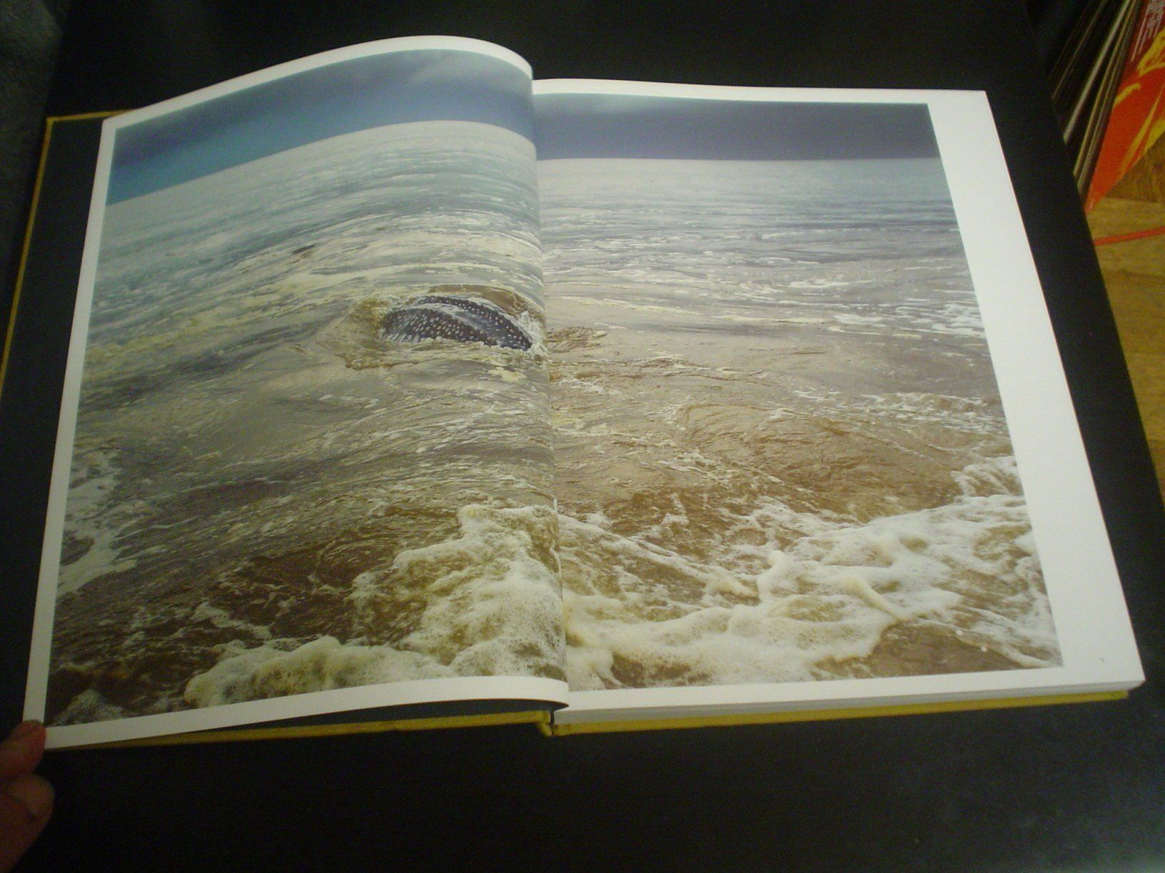 Livres: Congo River Fotobuch Kris Pannecoucke – D'occasion à Welschenrohr par Regool 1