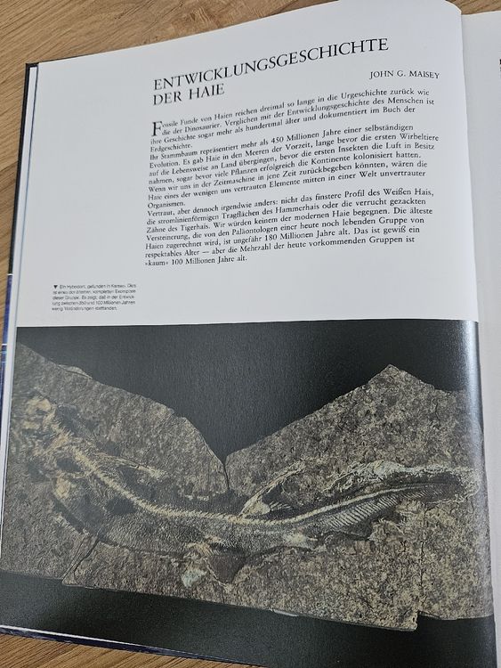 Hai-Buch von Karl Müller: Spannende Fakten über Haie! (Gebraucht) in ...