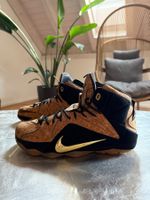 Nike LeBron 12 EXT Cork