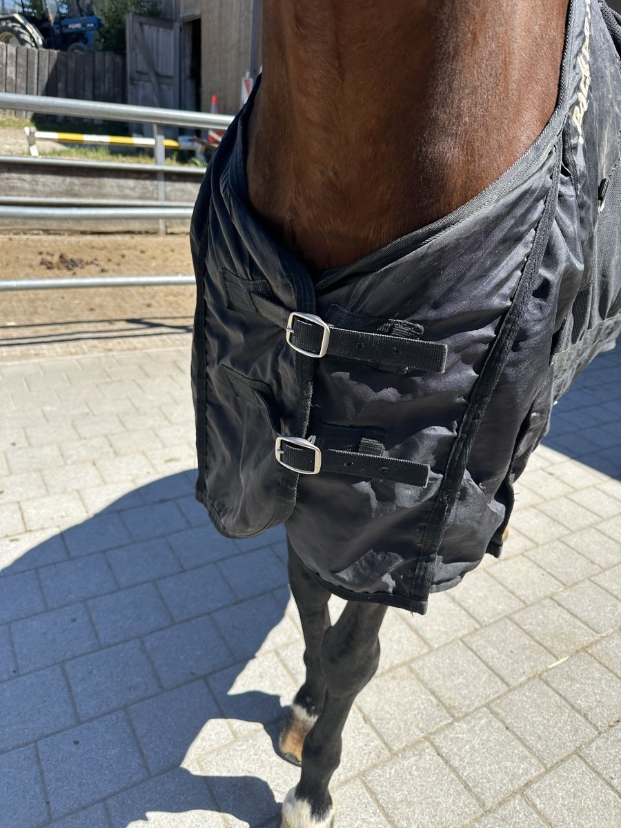 Coperte: 135er Back on Track dünne Pferdedecke – Usato da Dättwil AG venduto da LorenaWeber 2