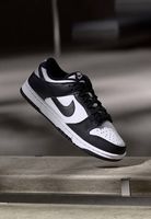 Nike Dunks NEU