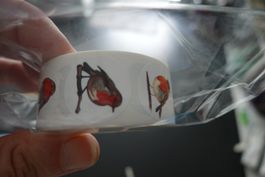 Stickers Aufkleber Rolle mit Vogel Motiven neu + unbenutzt