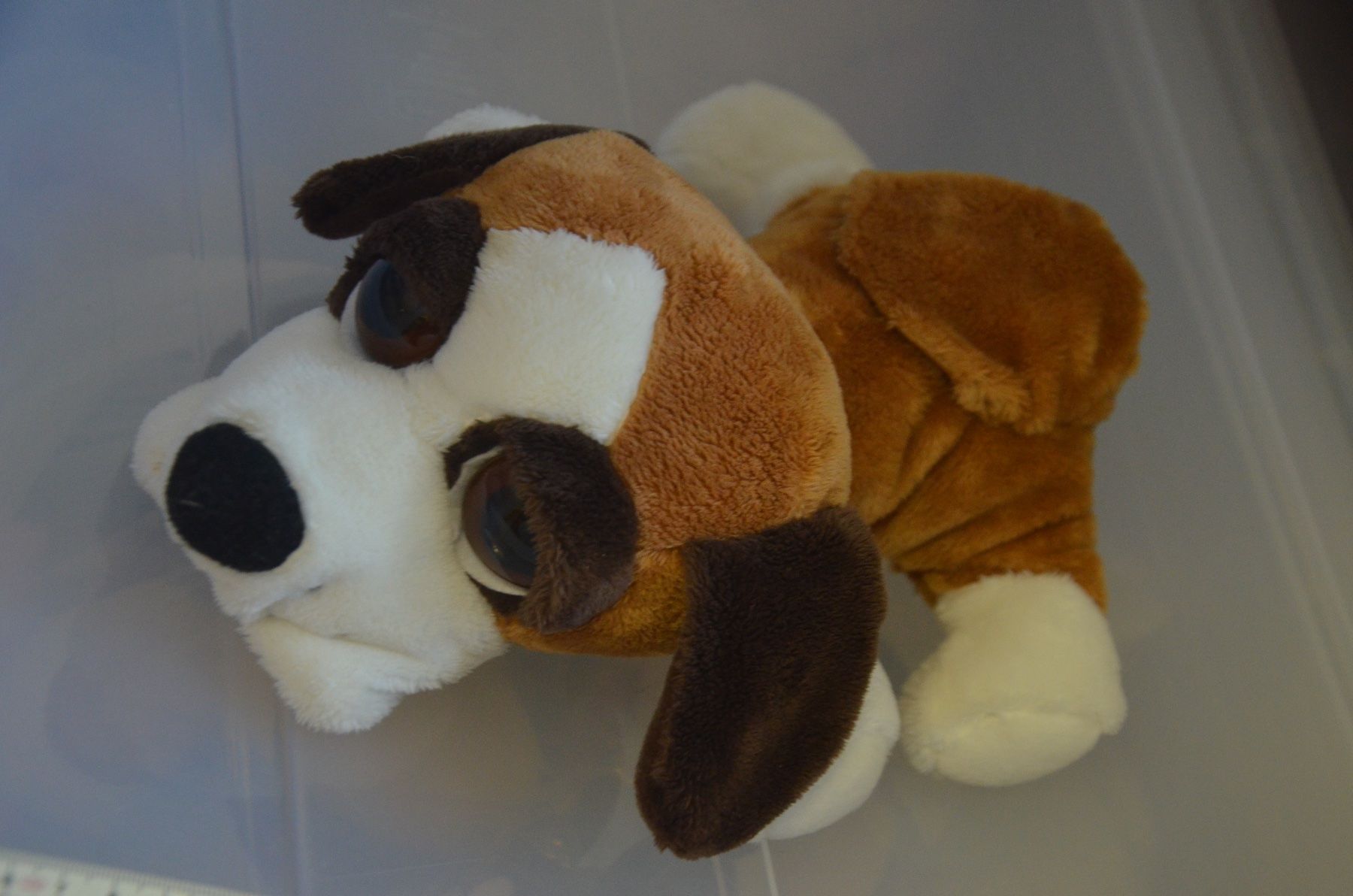 Giocattoli: PELUCHE – Usato da Chiasso venduto da Dolly015