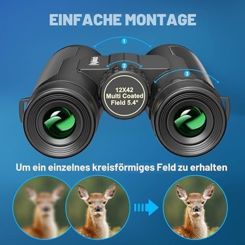 Binocoli: Fernglas 12x42 – Nuovo e nell'imballaggio originale da Hundwil venduto da Mr.Wong 6