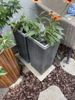 Höhe 55 Breite 25  Set 2 Pflanzkübel
