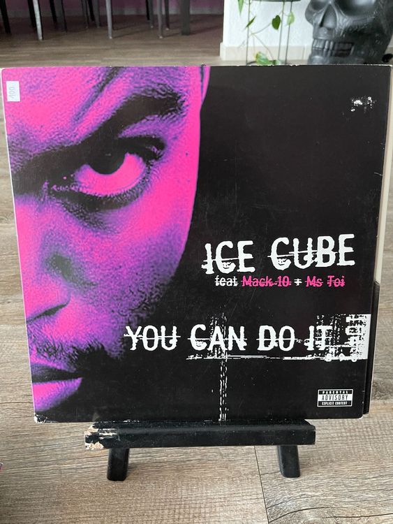 Ice cube you can do it kaufen auf ricardo