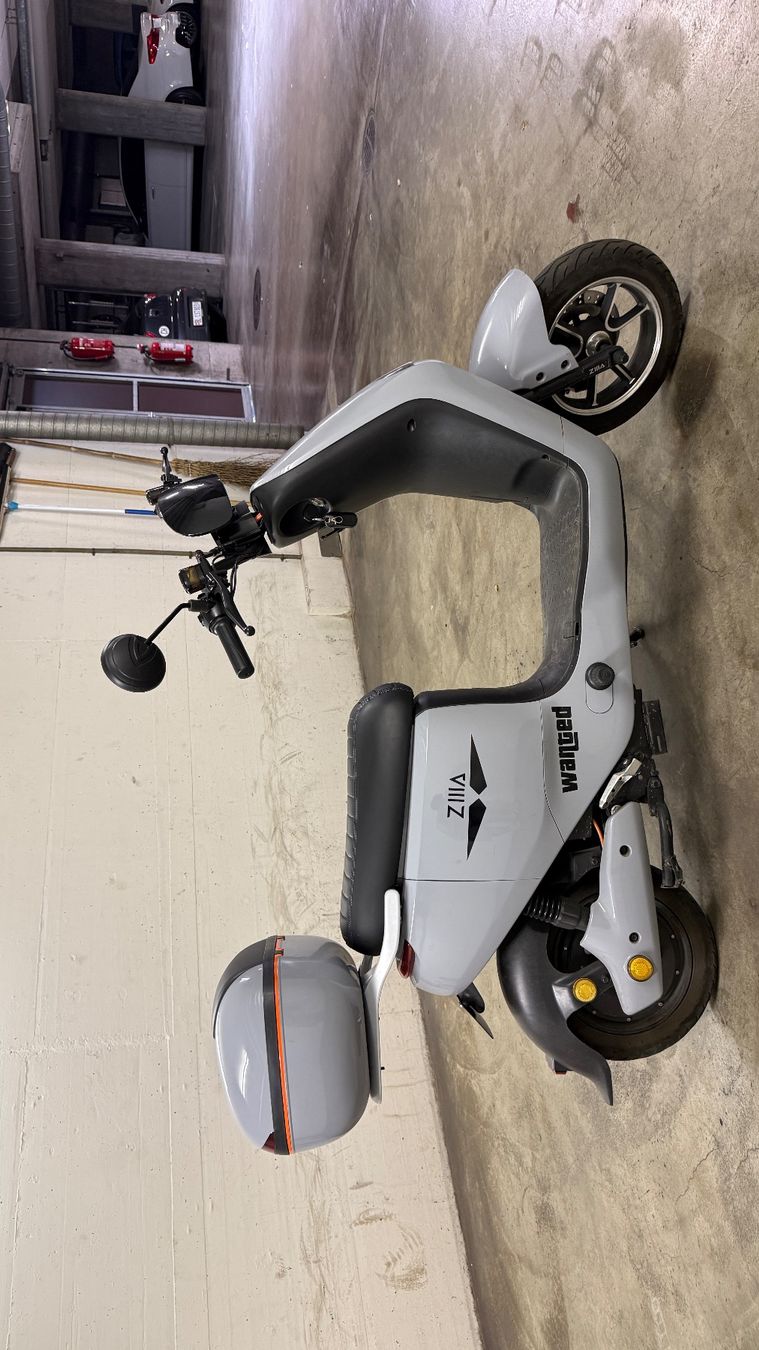 Scooters: Zilla Loki E -Roller 25 km/h |80 km Reichweite|Bluetooth – Gebraucht aus Reinach BL von ali_jm55 5