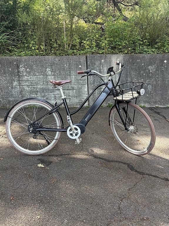 Ego Movement Biciclette: Ego Movement e-Bike Cleopatra 2.0 – Usato da Zürich venduto da alexjane 1