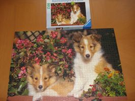 Puzzle 1500 Teile - zwei "Collis"?