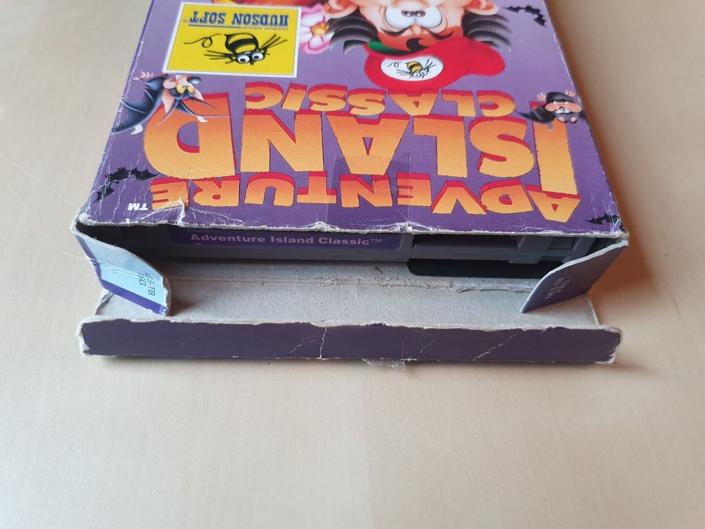 Adventure Island 8