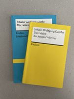 Die Leiden des jungen Werther Reclame und Lektüreschlüssel