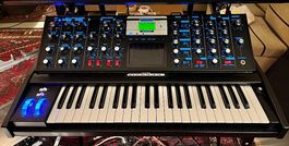 Moog Voyager Electric Blue Limited Edition