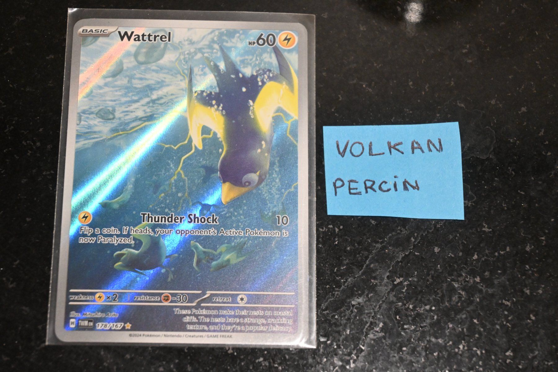 Pokémon Carte collezionabili: Wattrel #178 Pokemon Twilight Masquerade – Nuovo (secondo la descrizione) da Aigle venduto da PSAPOKEVOVO
