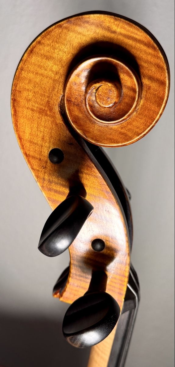 Musikinstrumente: Violoncelle 4/4, modèle vénitien  – Gebraucht aus Muri b Bern von Mustermann 8