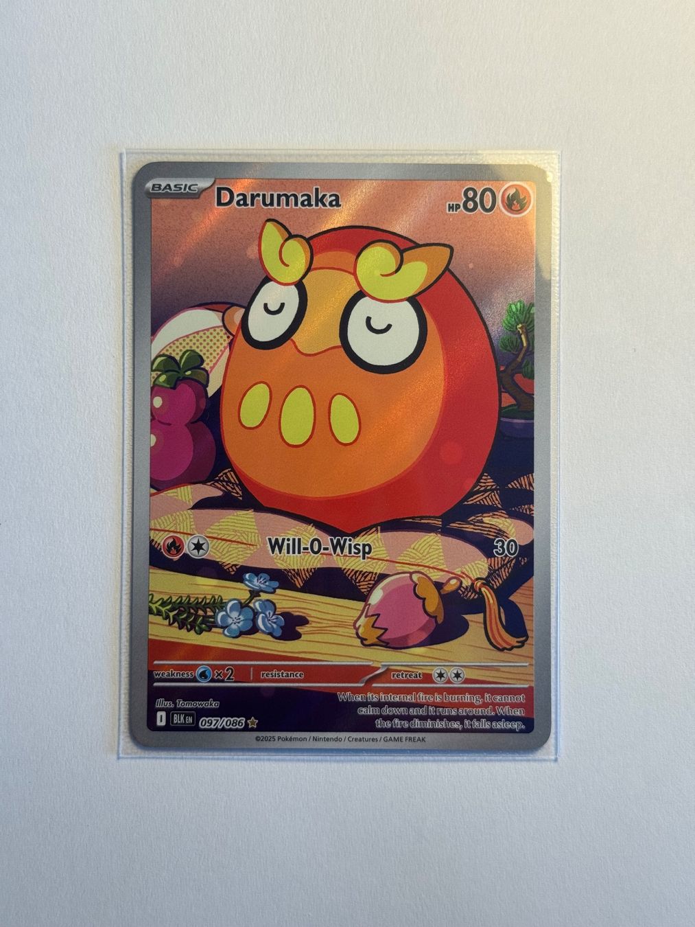 Pokémon Carte collezionabili: Pokémon Darumaka 097/086 – Usato da Münsingen venduto da mar_n5jw