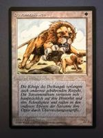 Savannenlöwen // Savannah Lions // FBB // Magic